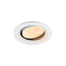 White recessed LED downlight, adjustable tilt.