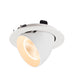 White recessed adjustable downlight fixture.