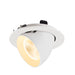 White recessed ceiling light fixture with adjustable head.