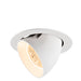 White recessed ceiling light fixture, adjustable angle, matte finish.