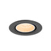 Recessed ceiling light fixture, dark gray finish.