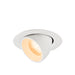 White recessed ceiling light fixture, adjustable angle, textured finish.