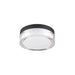 Clear glass surface-mounted light fixture with black trim.