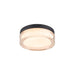 Clear glass flush mount ceiling light with black trim.