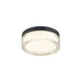 Flush mount ceiling light with clear glass shade and black trim.
