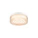 Glass flush mount ceiling light fixture with white trim.