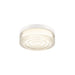 White flush mount ceiling light fixture with clear textured glass.