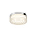 Clear glass flush mount ceiling light with polished chrome trim.