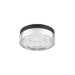 Clear glass flush mount ceiling light fixture with black trim.