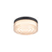 Flush mount ceiling light with clear glass shade, concentric circle design, and black metal trim.