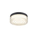 Flush mount ceiling light fixture with clear glass shade and black metal trim.