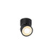 Black metal surface-mounted spotlight with adjustable head.
