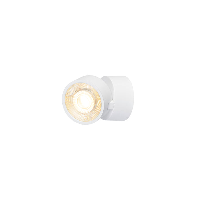 White metal surface-mounted spotlight with adjustable head.