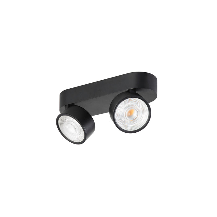 Black metal surface-mounted spotlight with two adjustable heads.