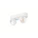 White metal surface-mounted spotlight with two adjustable heads.
