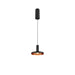 Black metal pendant light fixture with copper interior.