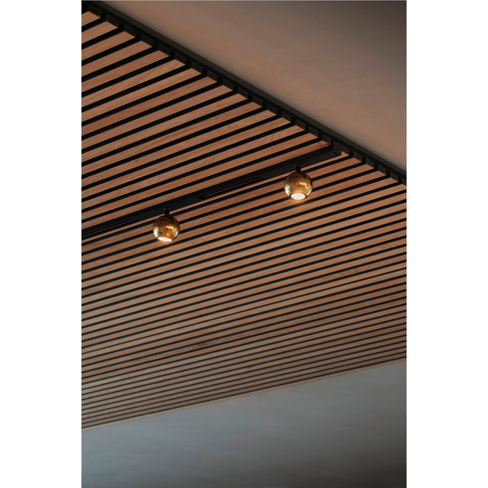 SLV 1010330 DYSKO, 48V Spot, DALI, standard surface mounted track, 2700K, 5.6W, 36°, black / gold (MD20)