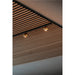 SLV 1010330 DYSKO, 48V Spot, DALI, standard surface mounted track, 2700K, 5.6W, 36°, black / gold (MD20)