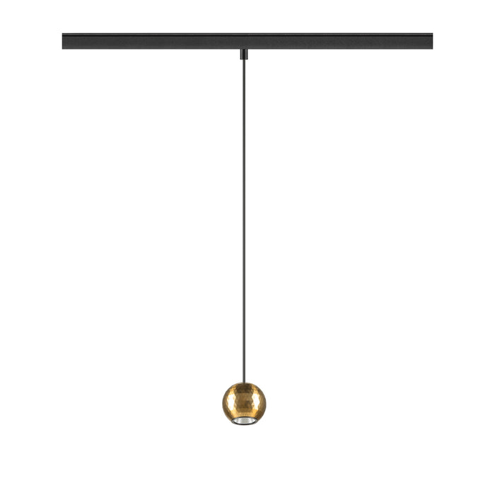Track pendant light with a gold glass globe shade and black mounting.