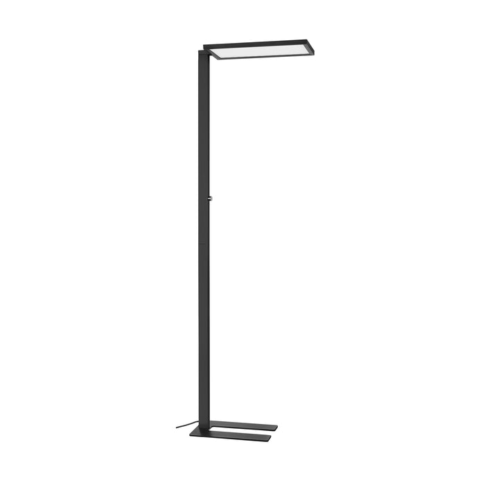 Minimalist LED floor lamp, black finish, metal construction, floor mounted.