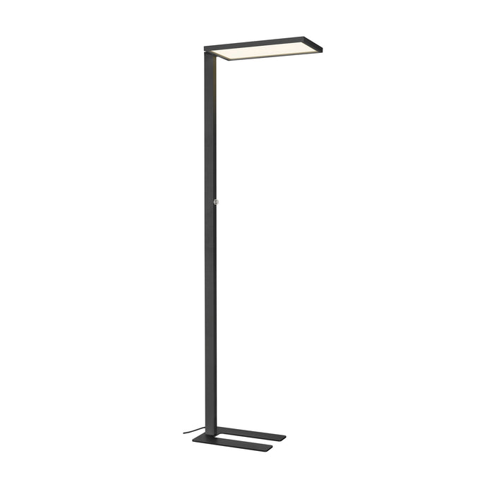 Modern LED floor lamp, black finish, metal construction, floor mounted.