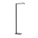Modern LED floor lamp, black finish, metal construction, floor mounted.