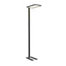 Modern black metal floor lamp with rectangular head.
