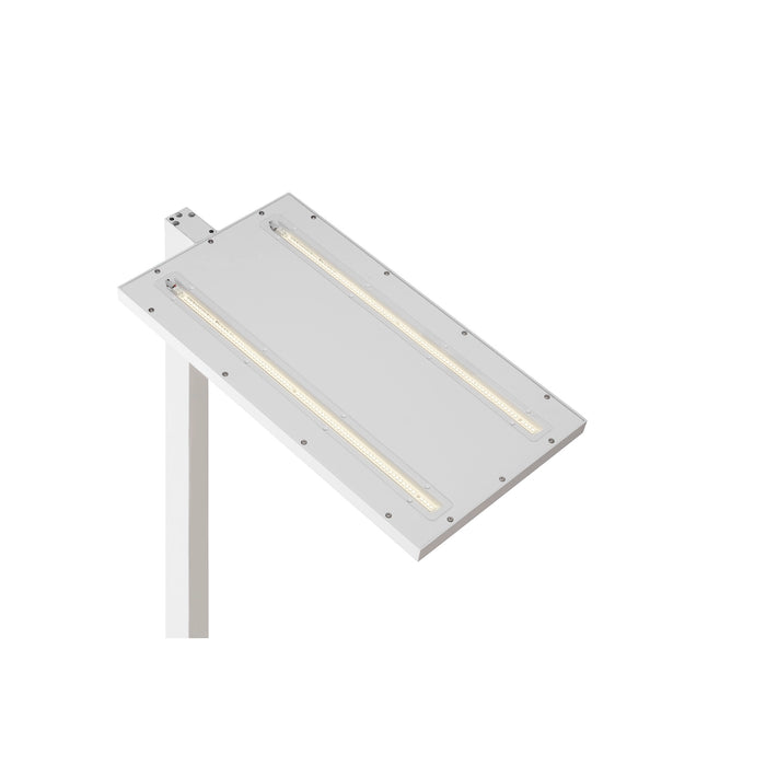 White pole-mounted LED area light with a rectangular head and a smooth finish.