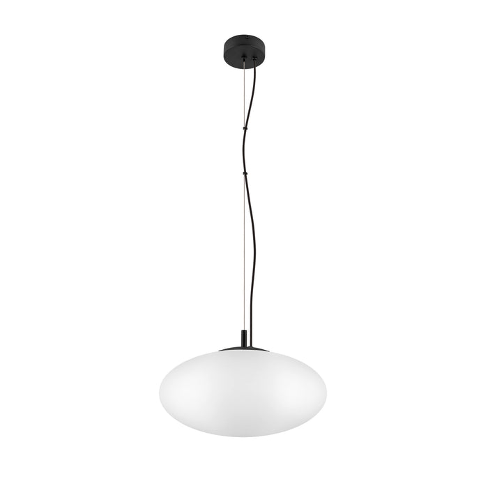 Pendant light fixture with a white glass globe shade and black mounting hardware.