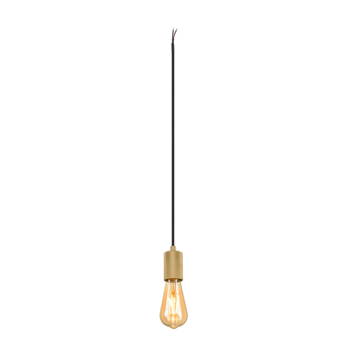 Hanging pendant light with a brass finish, black cord, and Edison-style bulb.