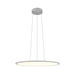 Modern gray pendant light fixture, round design, suspended mounting.
