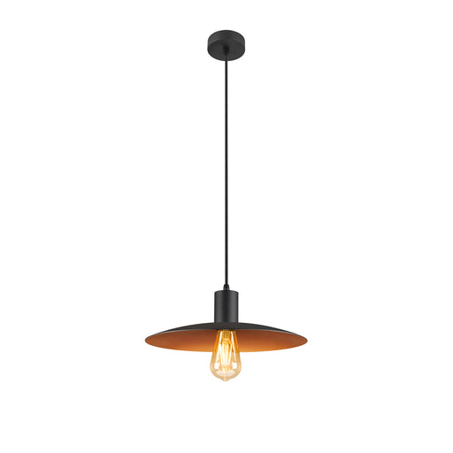 Black metal pendant light fixture with gold interior shade.