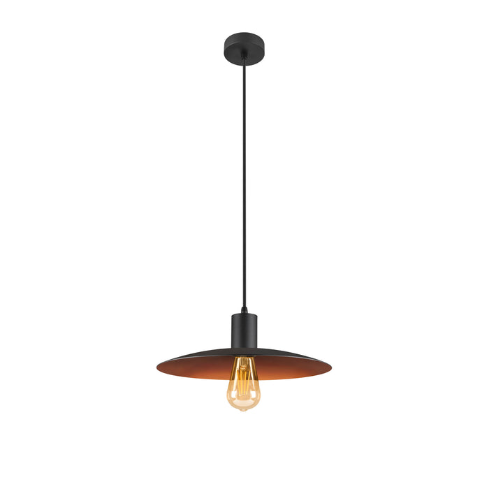 Black metal pendant light fixture with a matte finish and ceiling mount.
