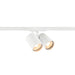 SLV 1011762 BIMA 2.0, 1~ spot, DOUBLE, QPAR51, 2 x 10 W, white (MD24)