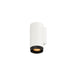 SLV 1011877 GRIP! L, Surface-mounted wall luminaire, UP OR DOWN, QPAR51, 1 x 6 W, white (MD01)