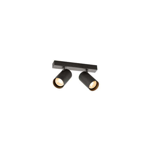 SLV 1011897 ENOLA 2.0 M, CL, DOUBLE, QPAR51, ceiling surface-mounted luminaire, 2 x 10 W, black (MD01)