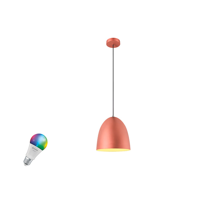 SLV 1012525 PARA CONE 30 SMART S (MD01)