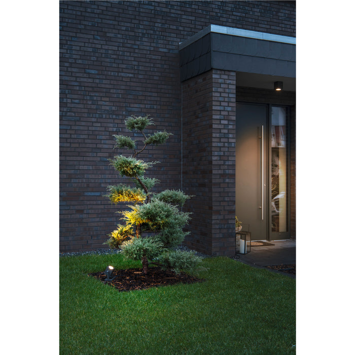 Dark gray brick house with modern front door and spotlight illuminating a small tree.