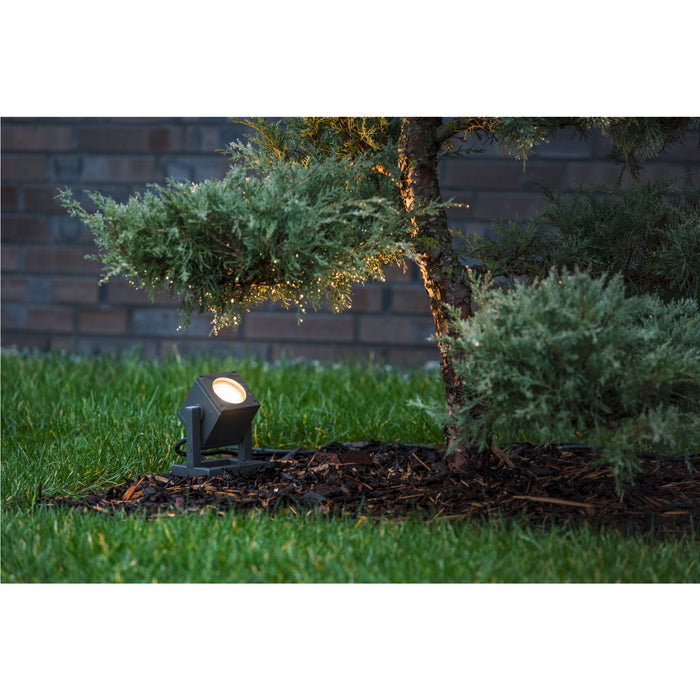Dark gray metal landscape spotlight, ground mounted, illuminating a small evergreen tree.