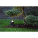 Dark gray metal landscape spotlight, ground mounted, illuminating a small evergreen tree.