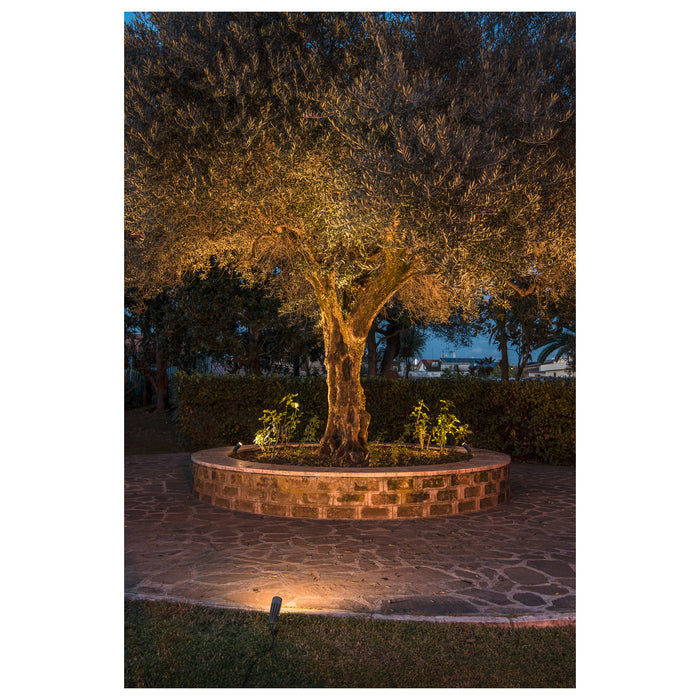 Outdoor landscape lighting illuminating a mature tree in a brick planter on a stone patio.