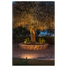 Outdoor landscape lighting illuminating a mature tree in a brick planter on a stone patio.