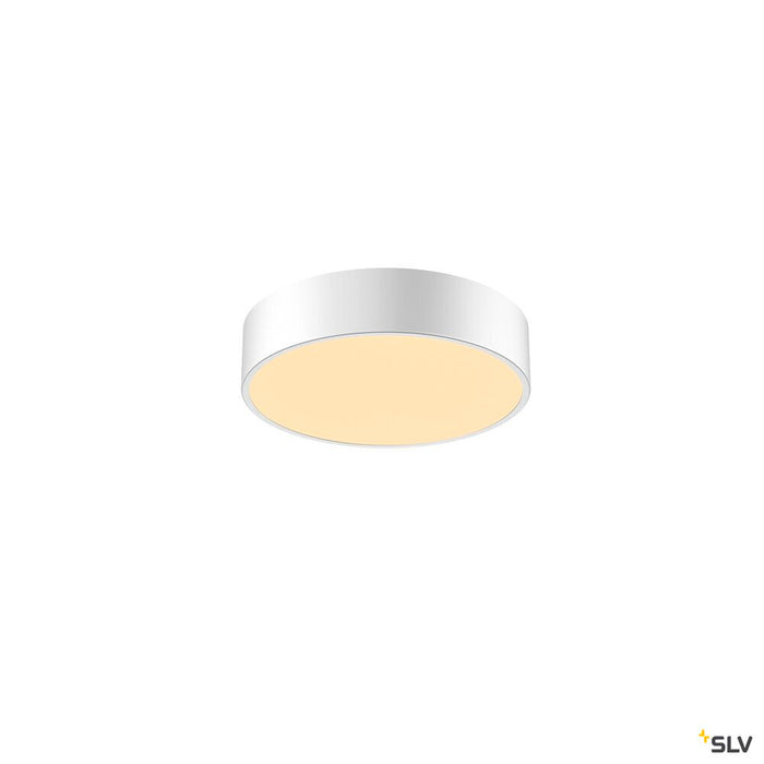 MEDO 30 CW AMBIENT, LED Outdoor surface-mounted wall and ceiling light, DALI, white, 3000/4000K