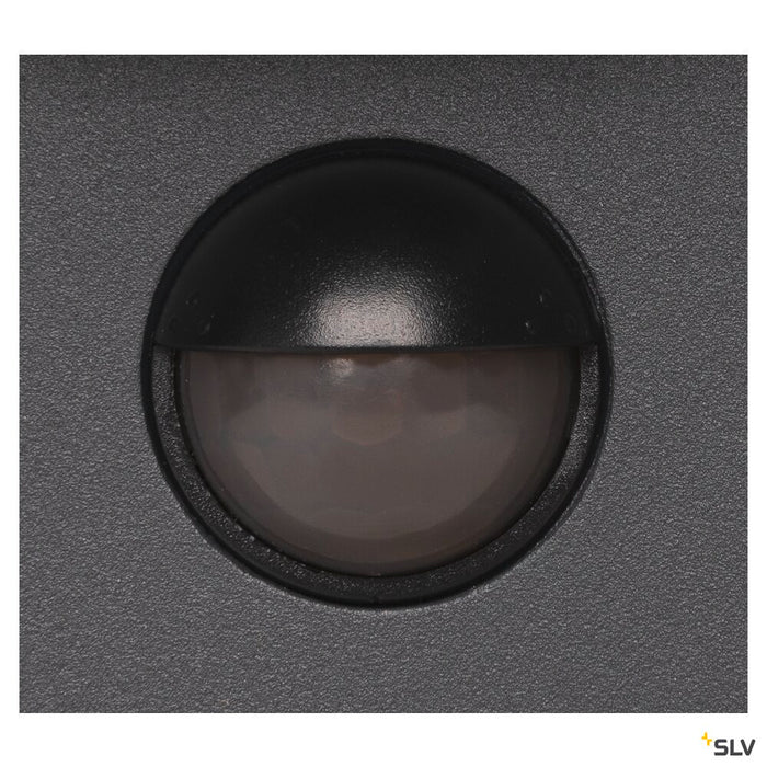ESKINA SENSOR, Outdoor surface-mounted wall and ceiling light, anthracite, 3000/4000K, IP54, dimmable