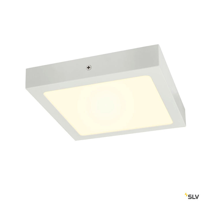 SENSER 24 CW, Indoor LED wall and ceiling-mounted light square white 4000K