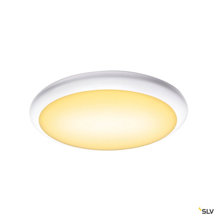 RUBA 42 CW, LED wall and ceiling-mounted light white CCT switch 3000/4000K