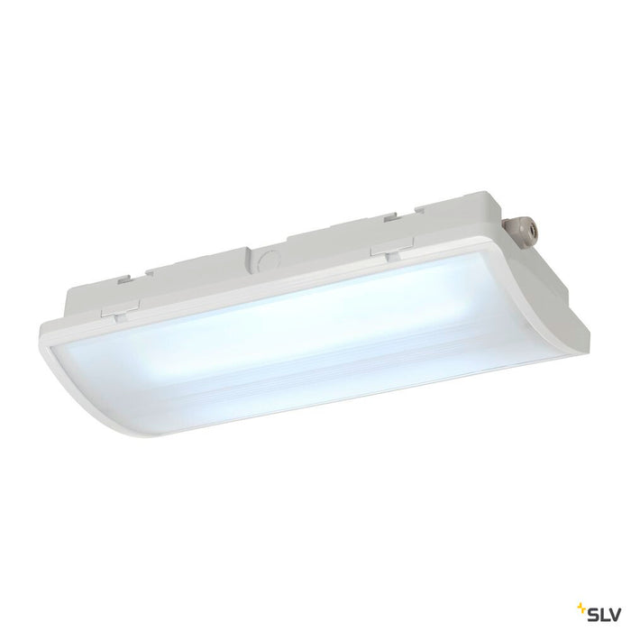 P-LIGHT, ceiling light, LED, 6000K, IP65, rectangular, white, 6,5W