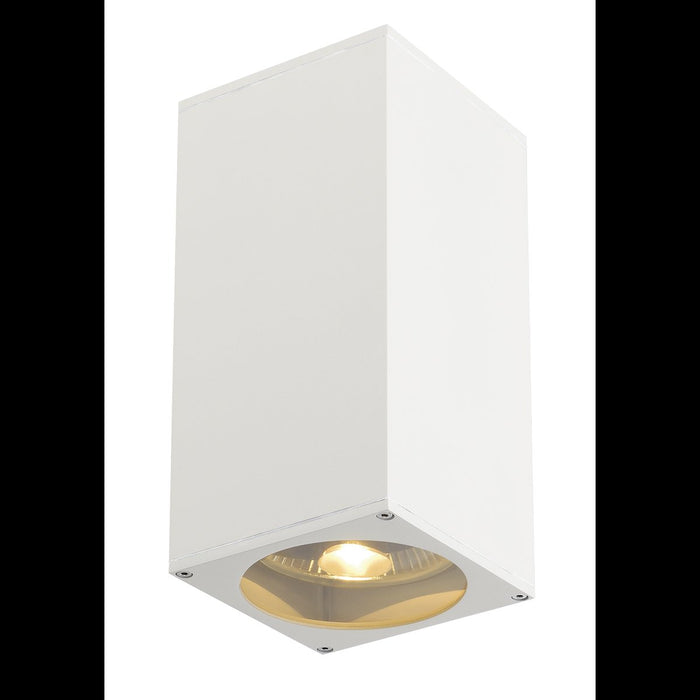 BIG THEO UP/DOWN OUT wall light , square, white, ES111, max. 2x75W