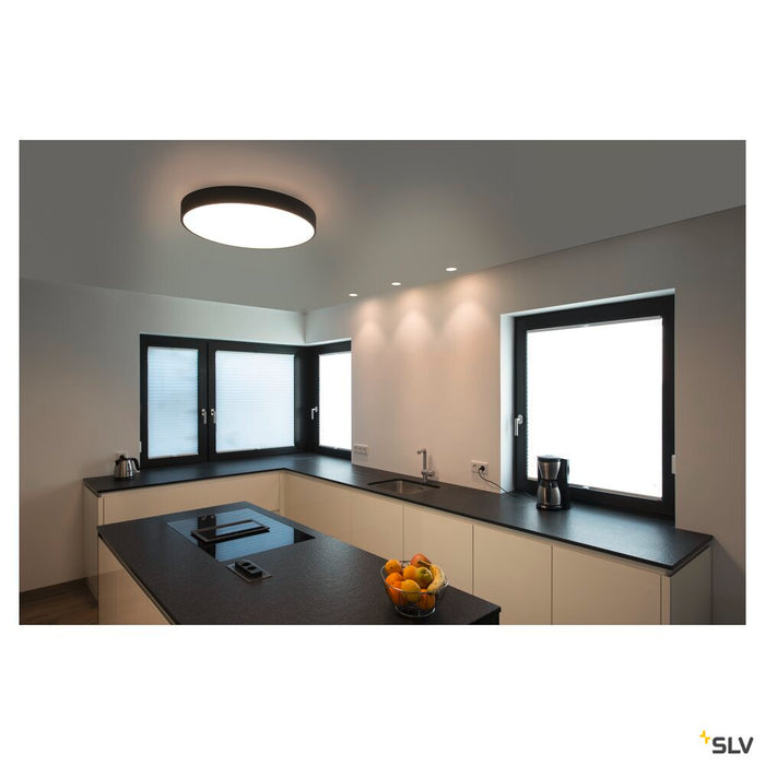 MEDO 60 CW AMBIENT, LED Outdoor surface-mounted wall and ceiling light, DALI, black, 3000/4000K