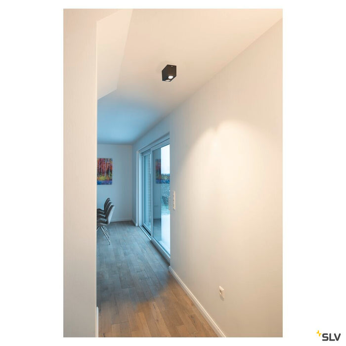 TRILEDO Double, LED Indoor surface-mounted ceiling light, black, 3000K, 16W